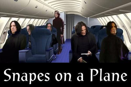 snapes on plane. Snapes on a plane